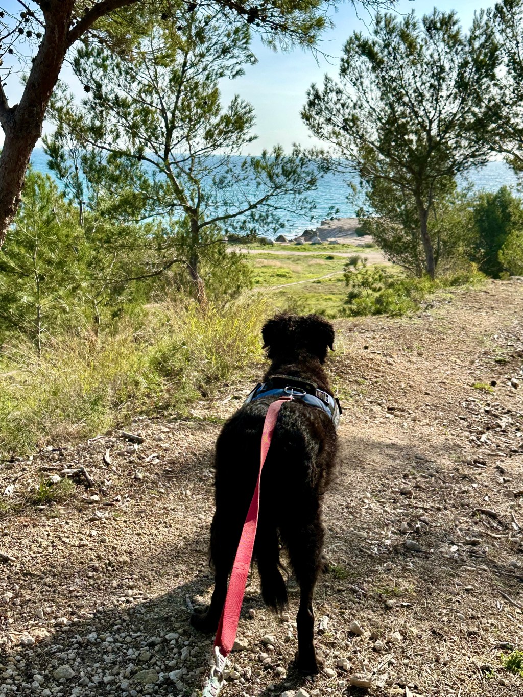 Pulled off the&nbsp;Path