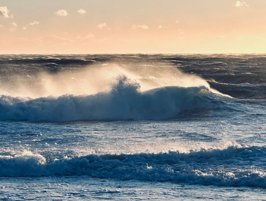 Finding Light and Wisdom in the Maddening Mistral