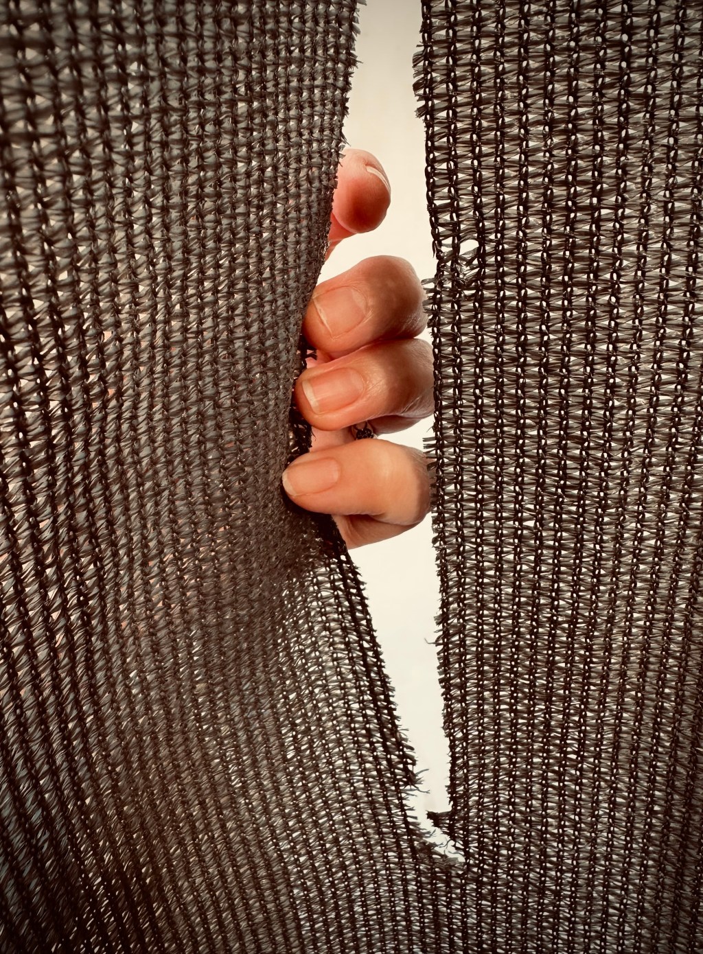 The Day the Veil&nbsp;Tore