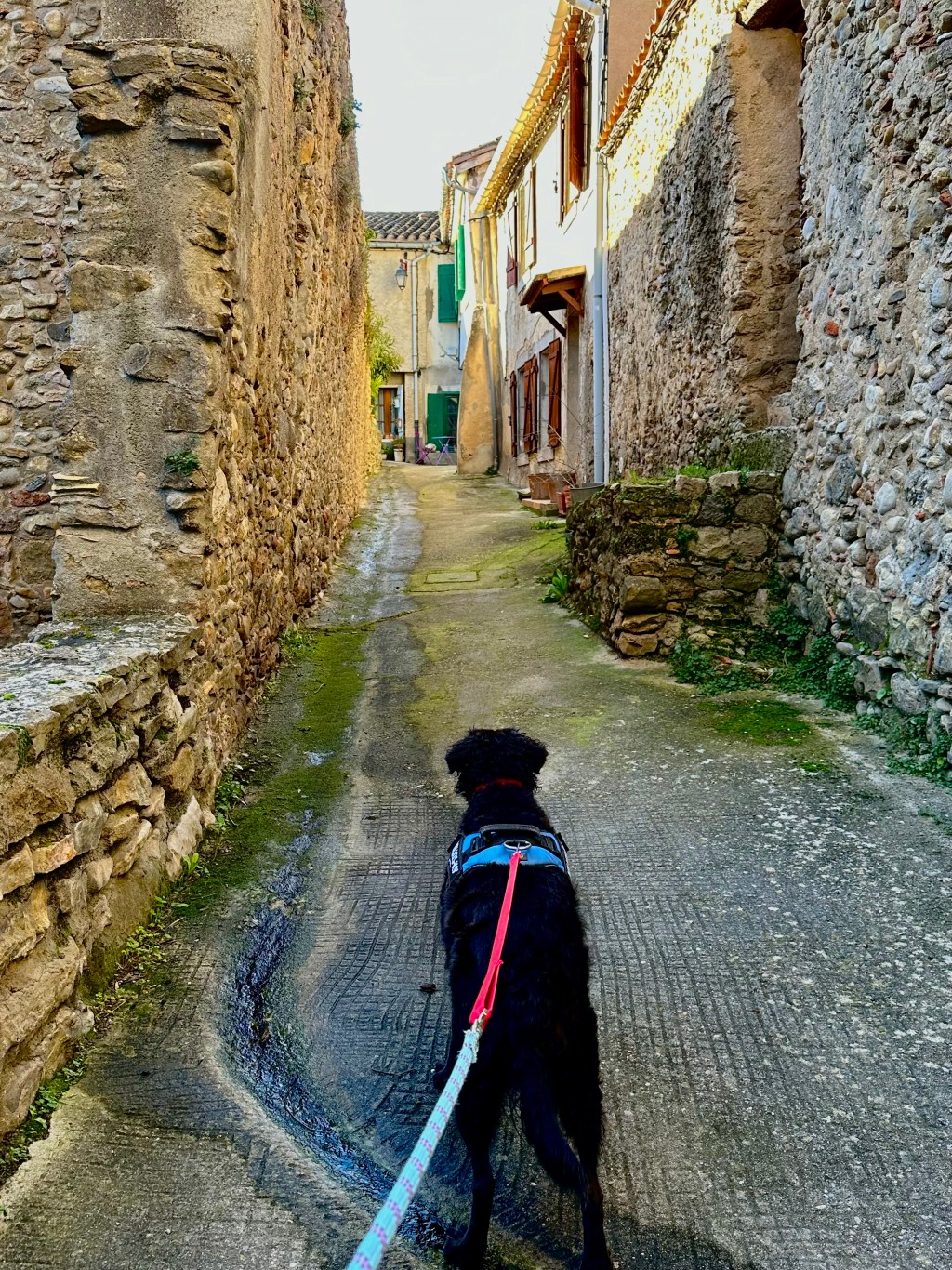 Sammygram: Take the&nbsp;Detour