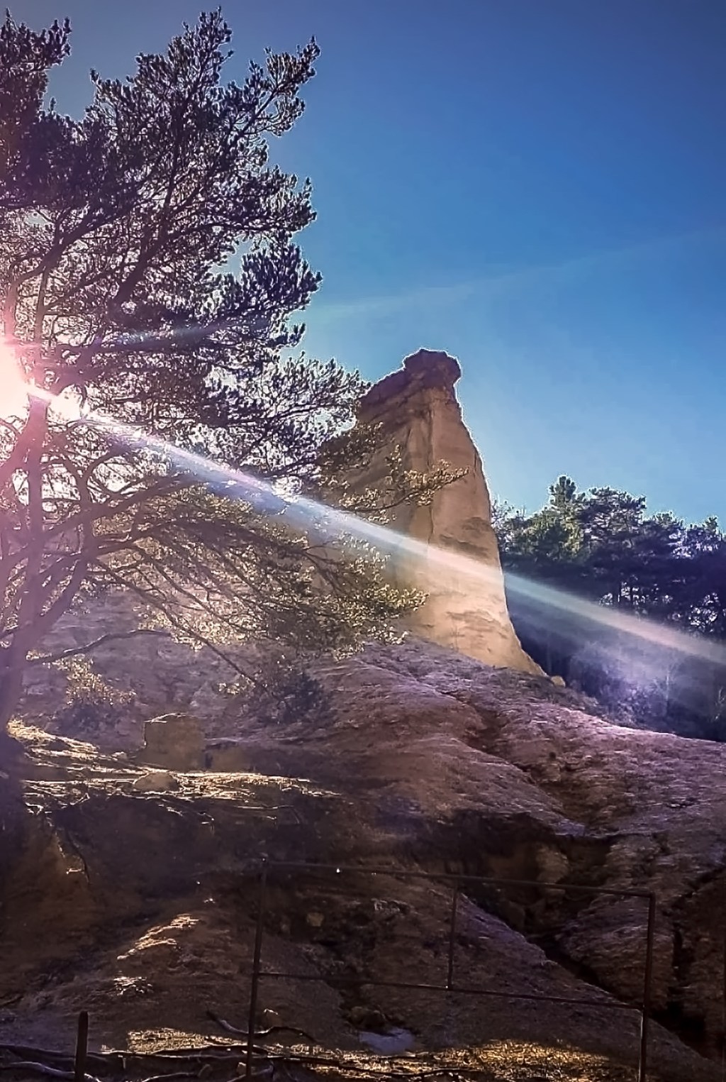 Shine with Intention